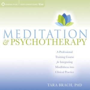 cover image of Meditation and Psychotherapy
